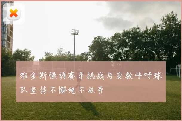 维金斯强调赛季挑战与变数呼吁球队坚持不懈绝不放弃